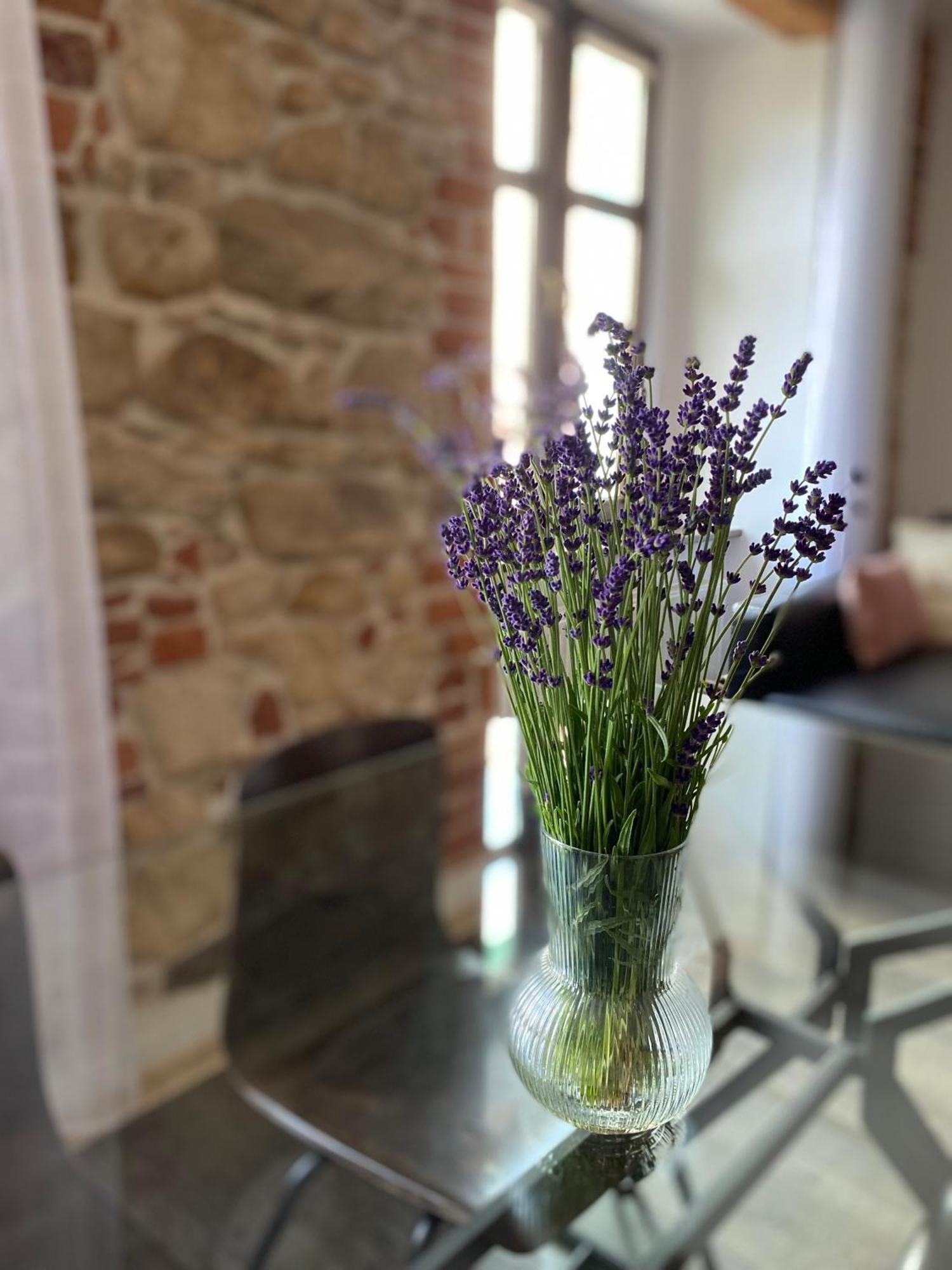 Apartament Przy Ratuszu Kłodzko Buitenkant foto